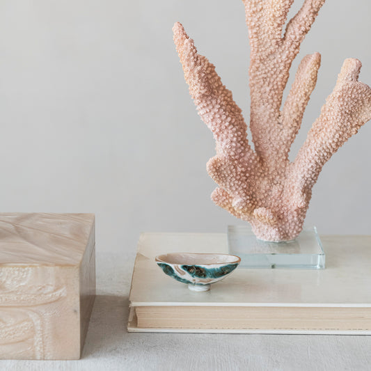 Natural Shell Footed Dish