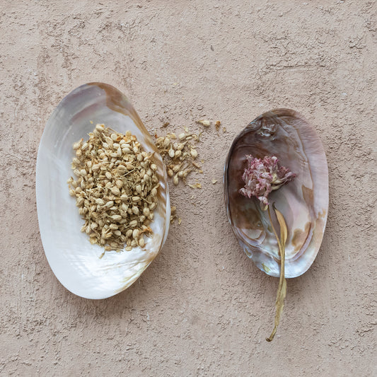 Natural Shell Footed Tray | Large