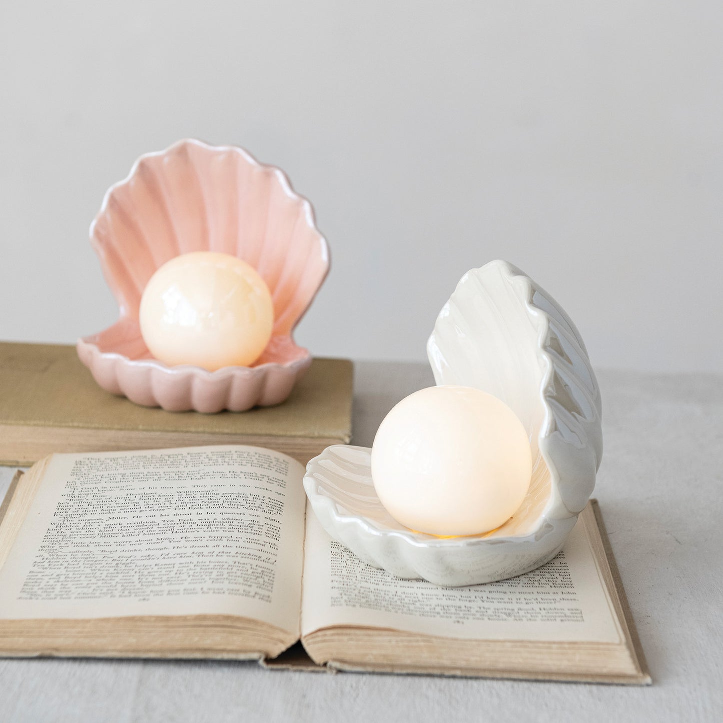 Stoneware Seashell with Light