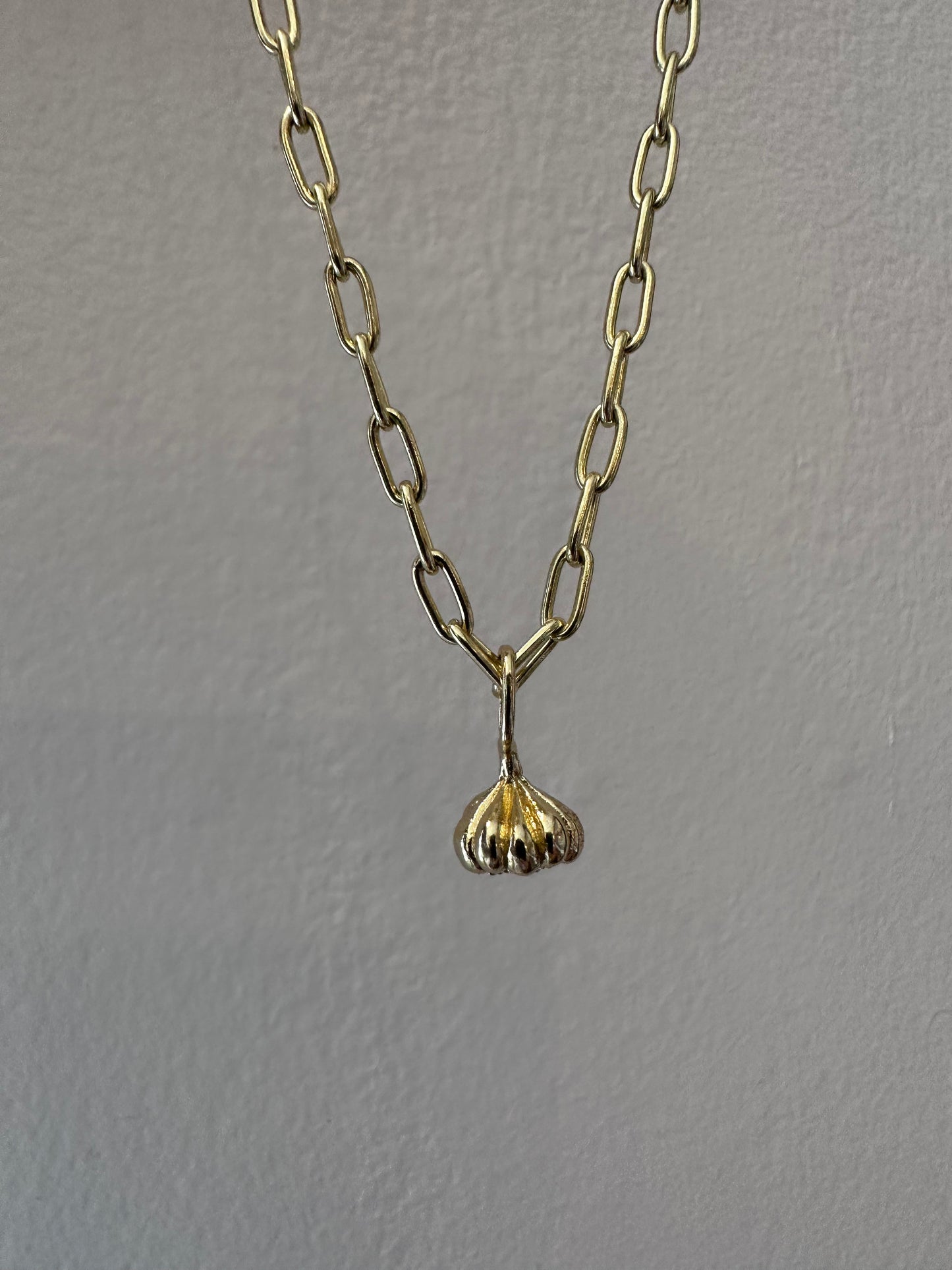 Garlic Charm | Brass