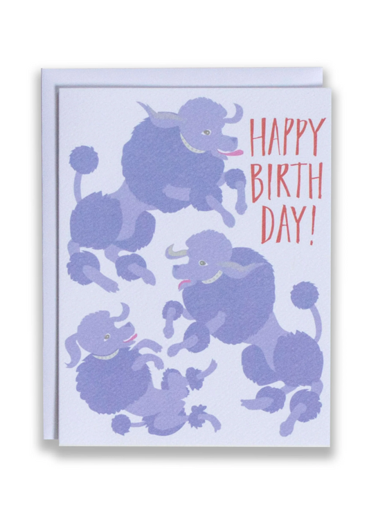 Happy Birthday Poodles Card