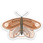 Butterfly Sticker
