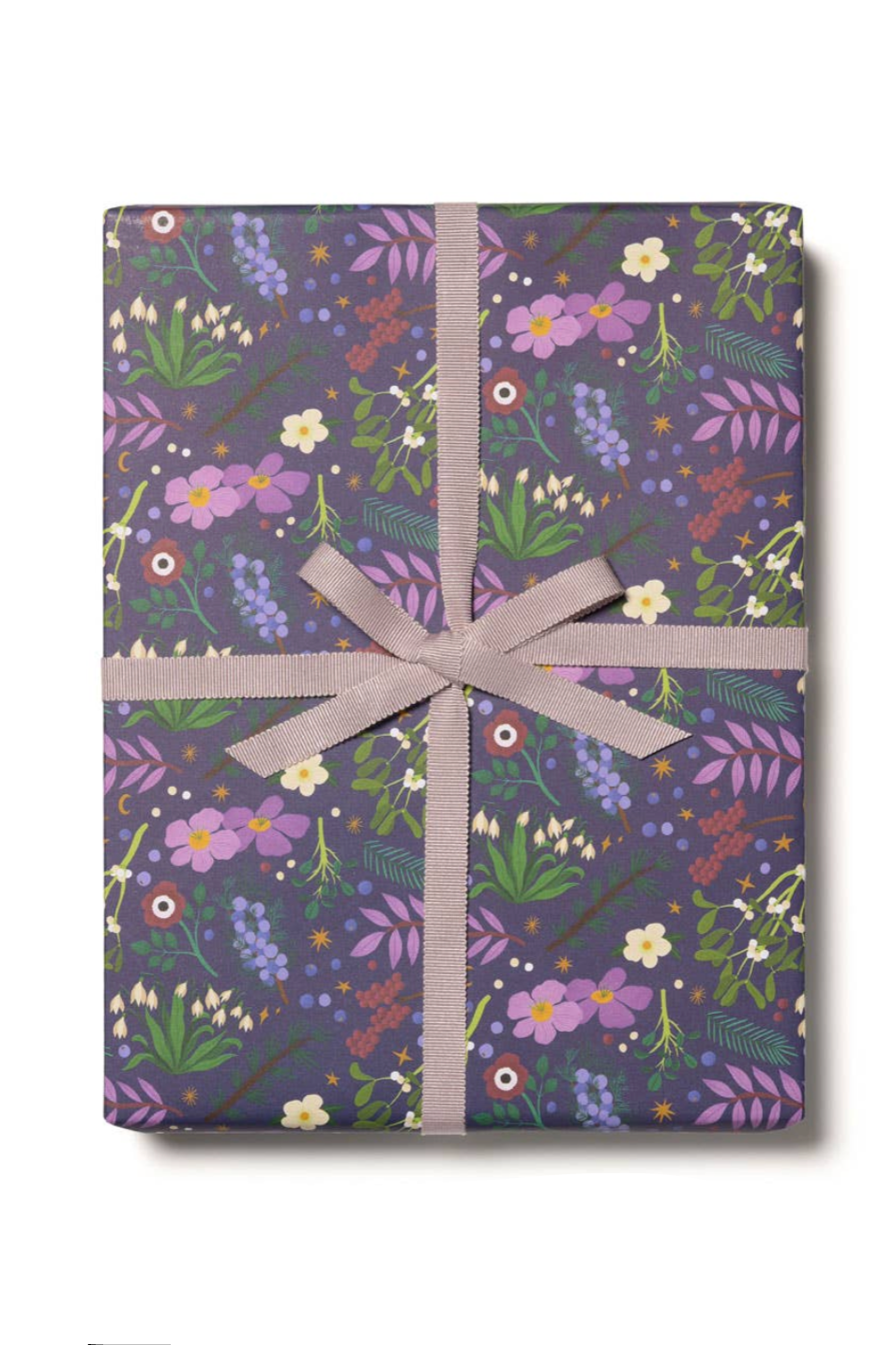 Winter Botanicals Gift Wrap | Roll of 3 Sheets