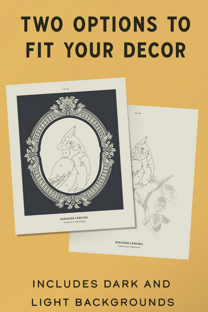 Coloready Birds: 20 Modern Paint-by-Number Prints