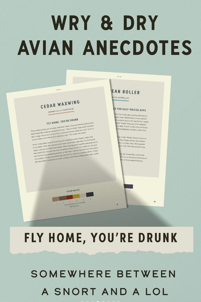 Coloready Birds: 20 Modern Paint-by-Number Prints