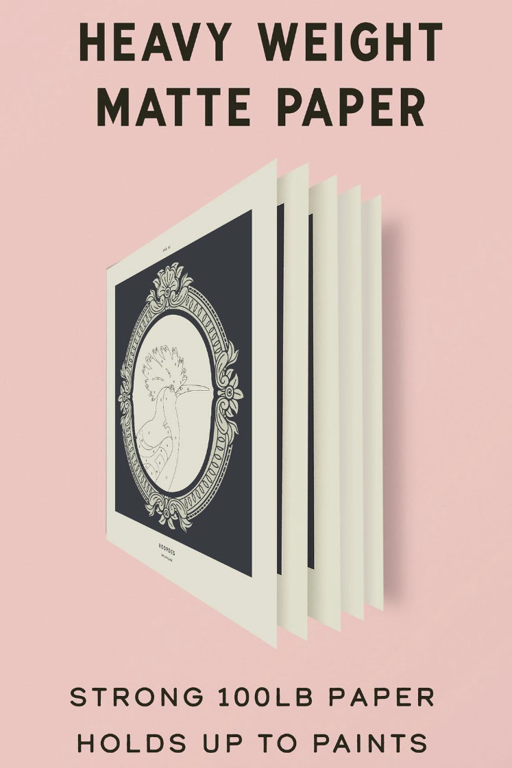 Coloready Birds: 20 Modern Paint-by-Number Prints