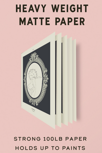 Coloready Birds: 20 Modern Paint-by-Number Prints