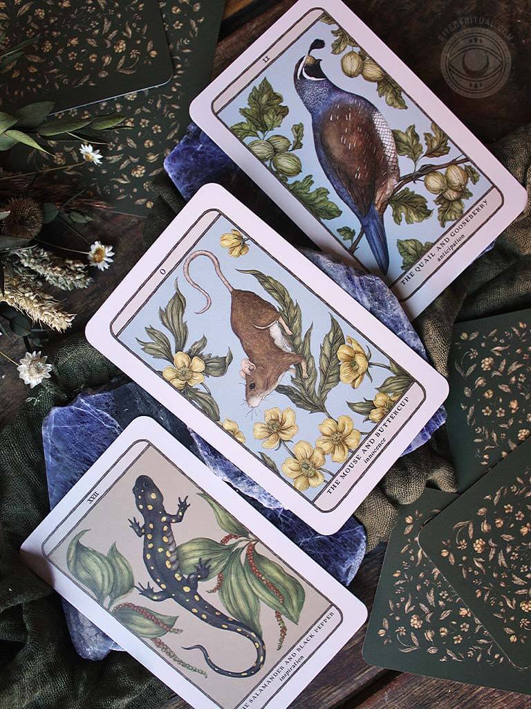 Woodland Wardens Oracle Deck