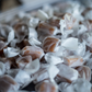 Handmade Caramels | Coconut (Vegan)