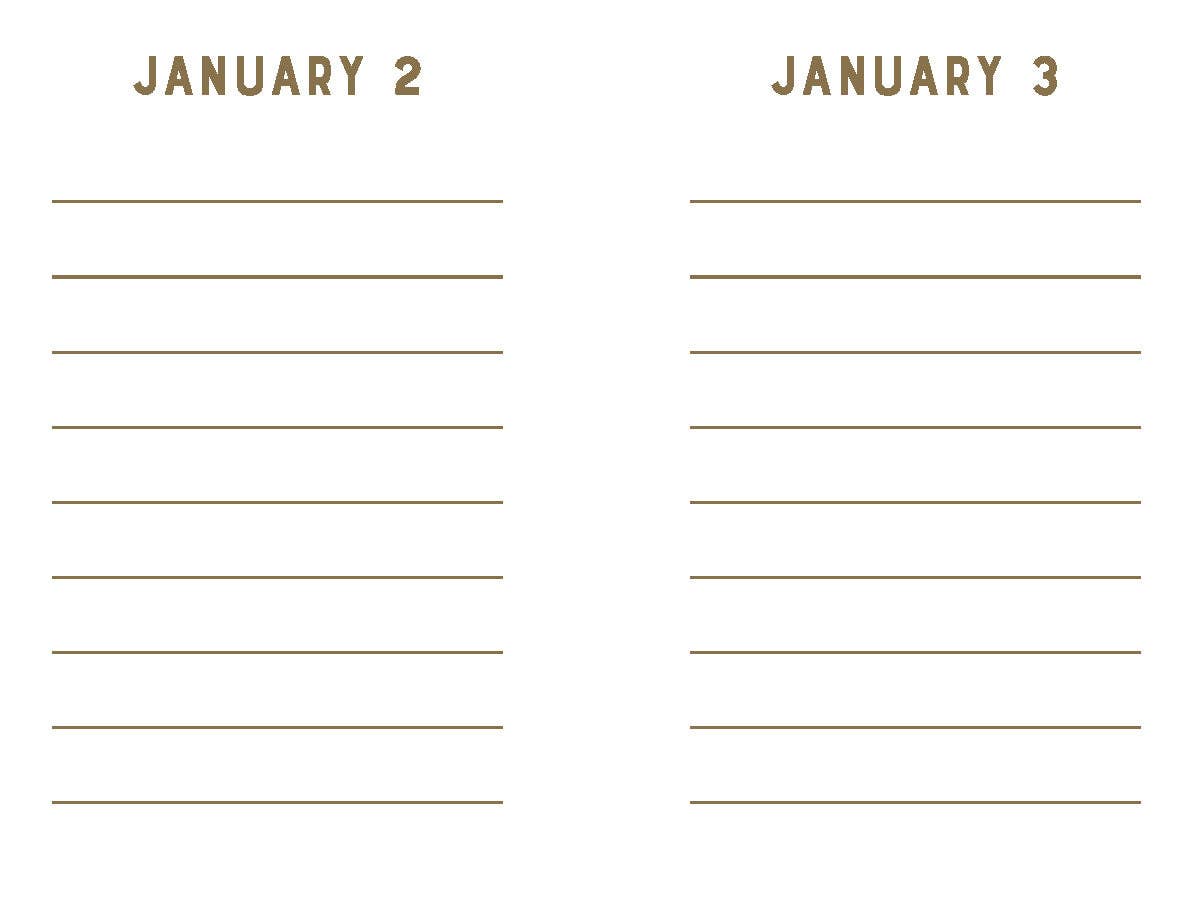Mini One Line a Day | Rose Velvet