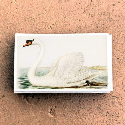 Serene Swan Matchbook