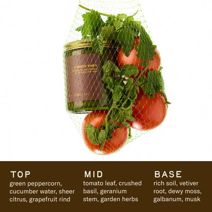 Tomato Vines Standard Candle