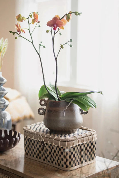 Stoneware Pot with Handles