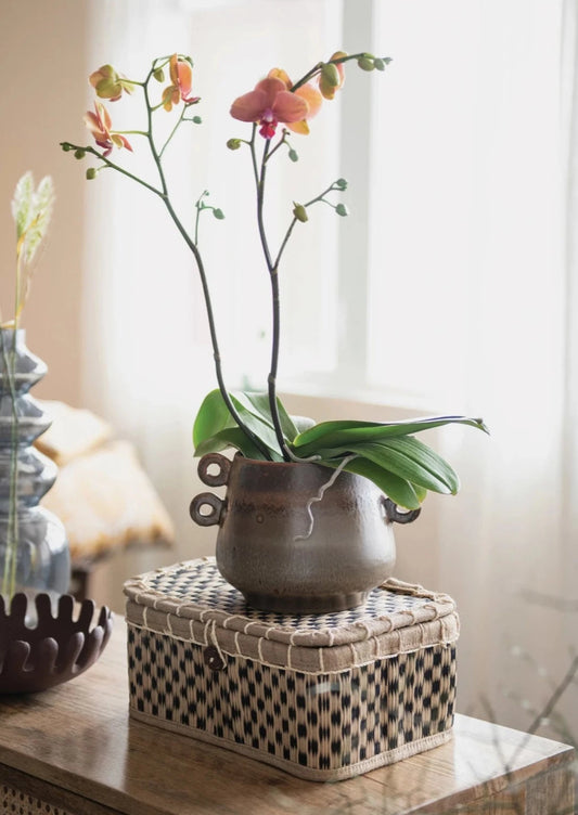 Stoneware Pot with Handles