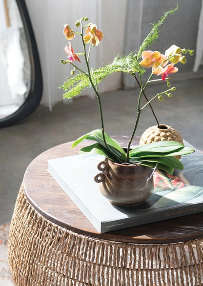 Stoneware Pot with Handles