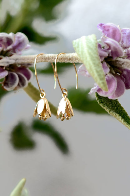 Courtenay Tulip Earrings | Gold