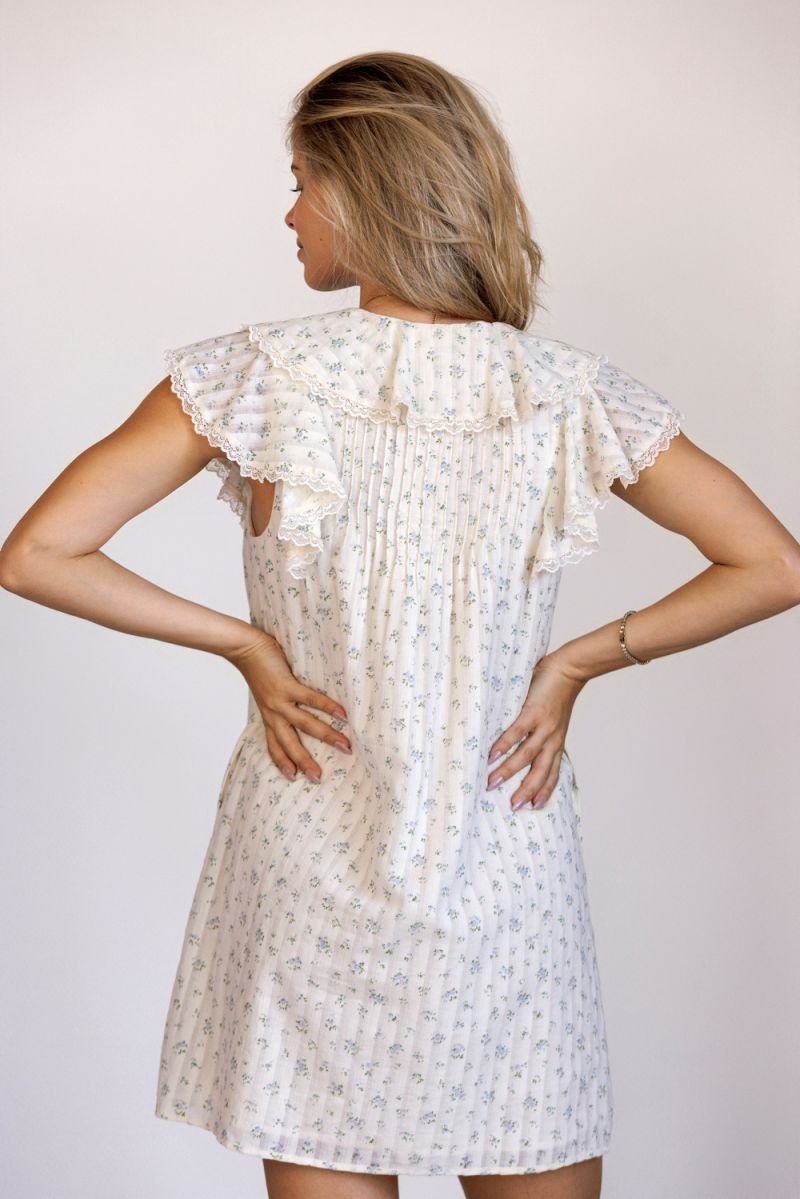 Ever After Mini Dress | Blue Floral