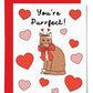 Purrfect Love Card