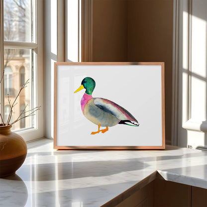 Mallard Print | 8 x 10