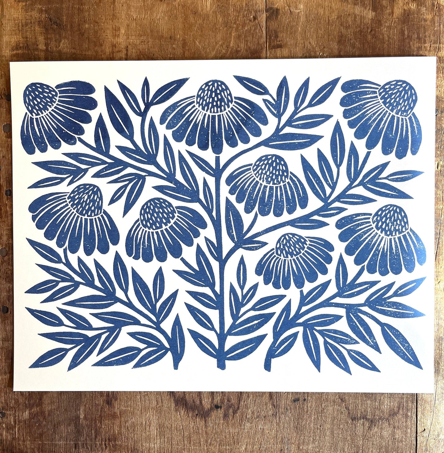 Garden Series Print | Navy Echinacea
