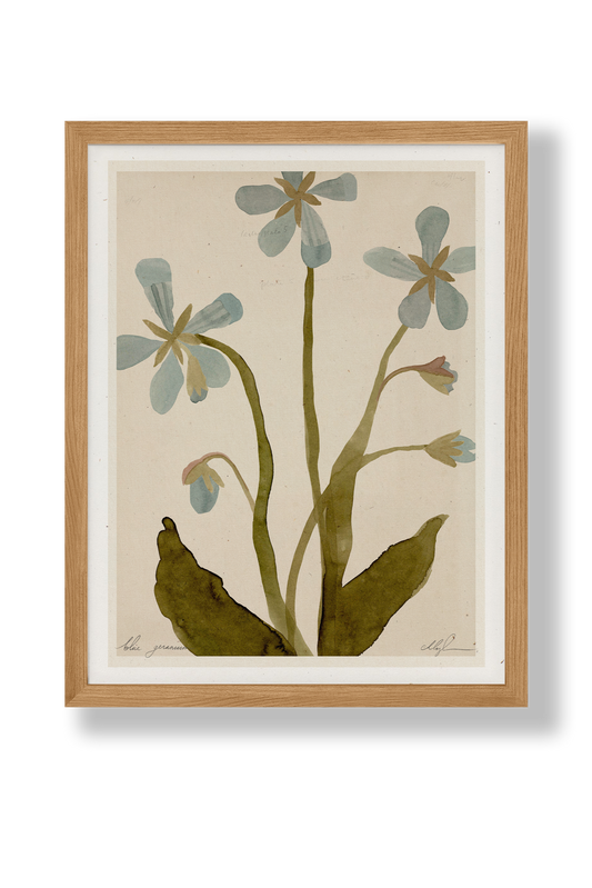 Blue Geranium | 8.5 x 11