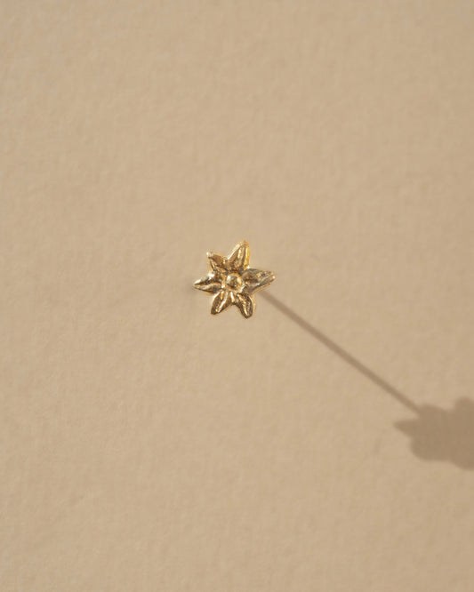 Stellate Stud Earring | Sterling Silver