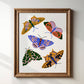 Primary Pop Moths Art Print | 8" x 10"