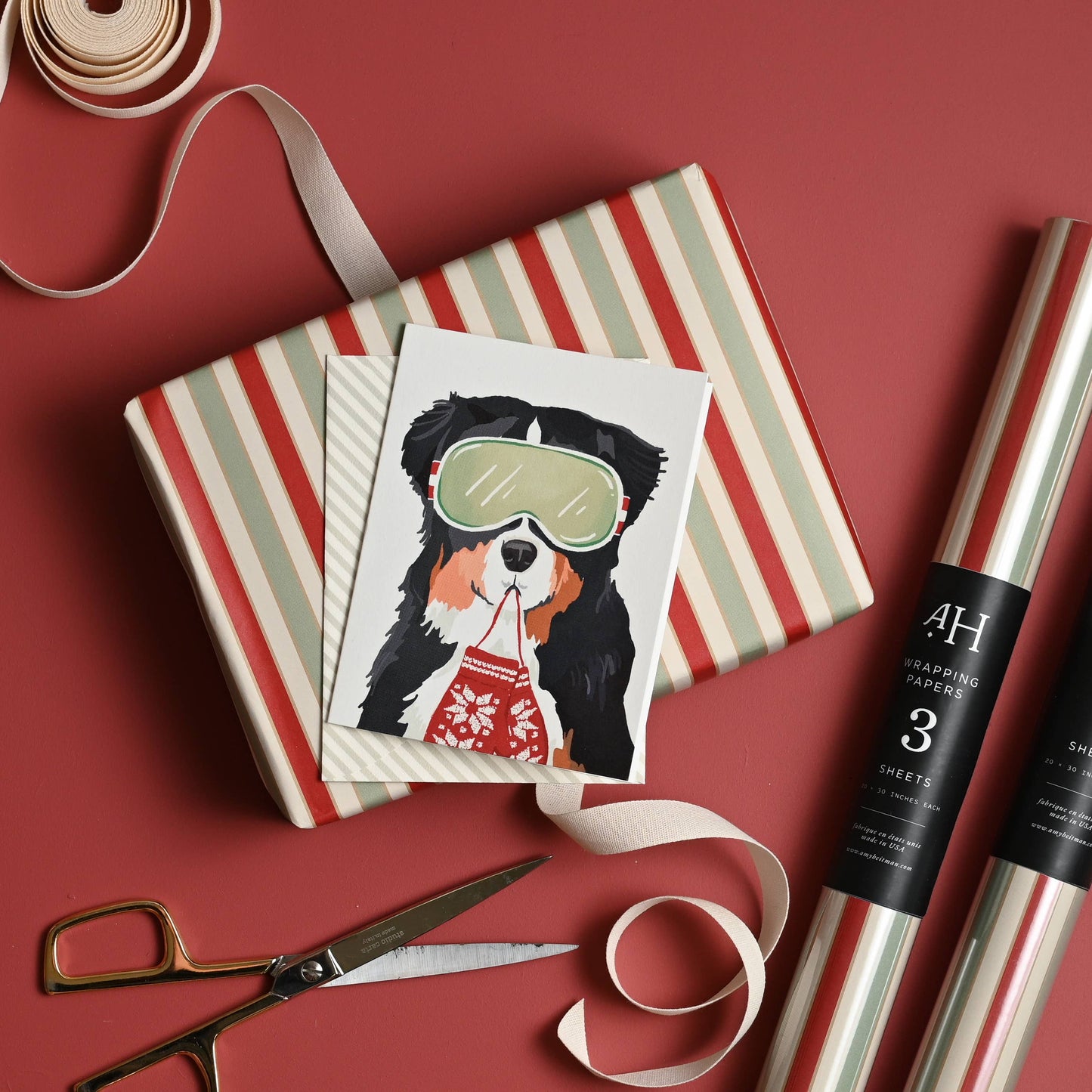 Bernese Ski Dog Holiday Card