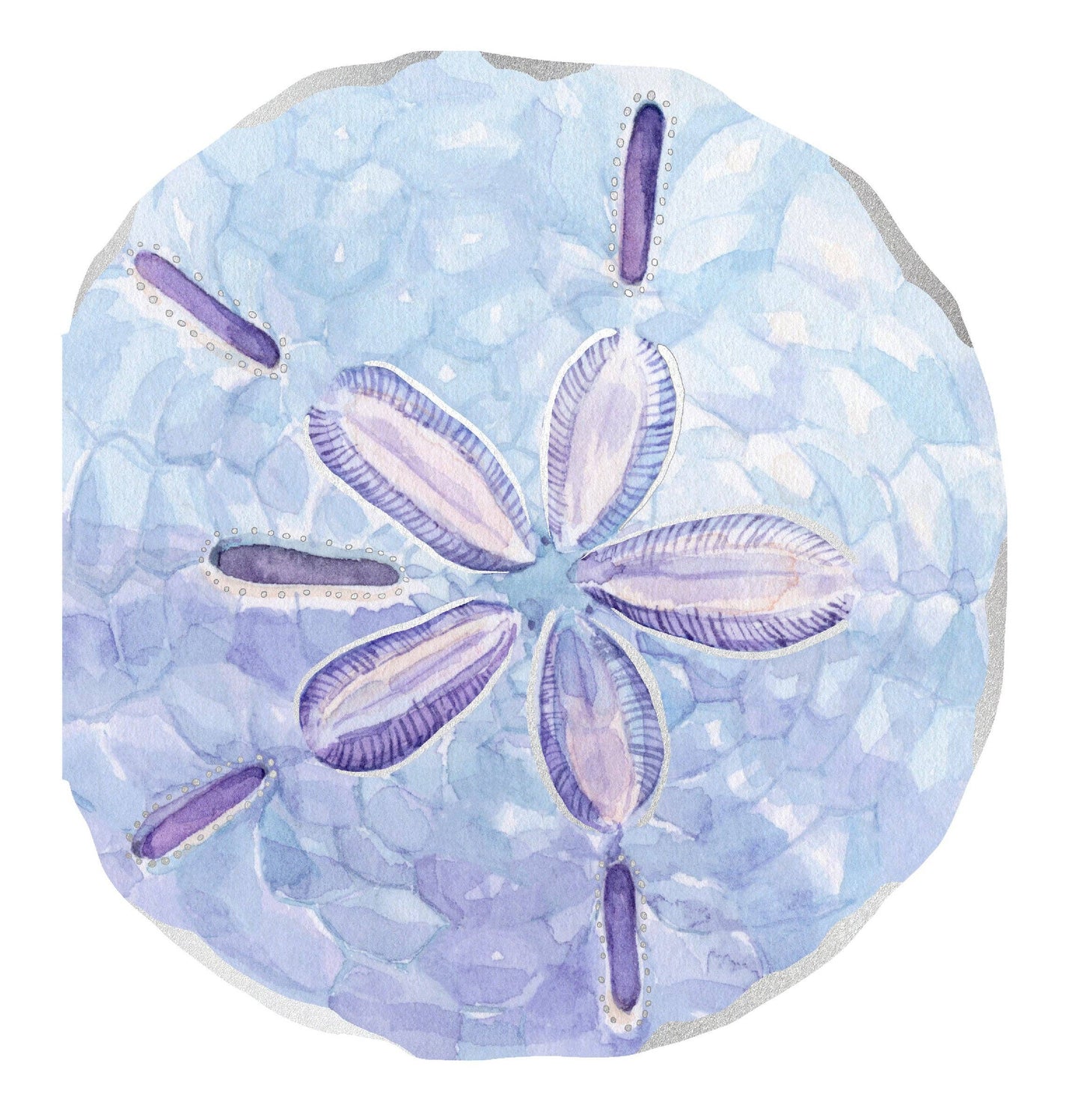 Shell Notes | 12 Cards + Envelopes