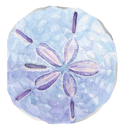Shell Notes | 12 Cards + Envelopes