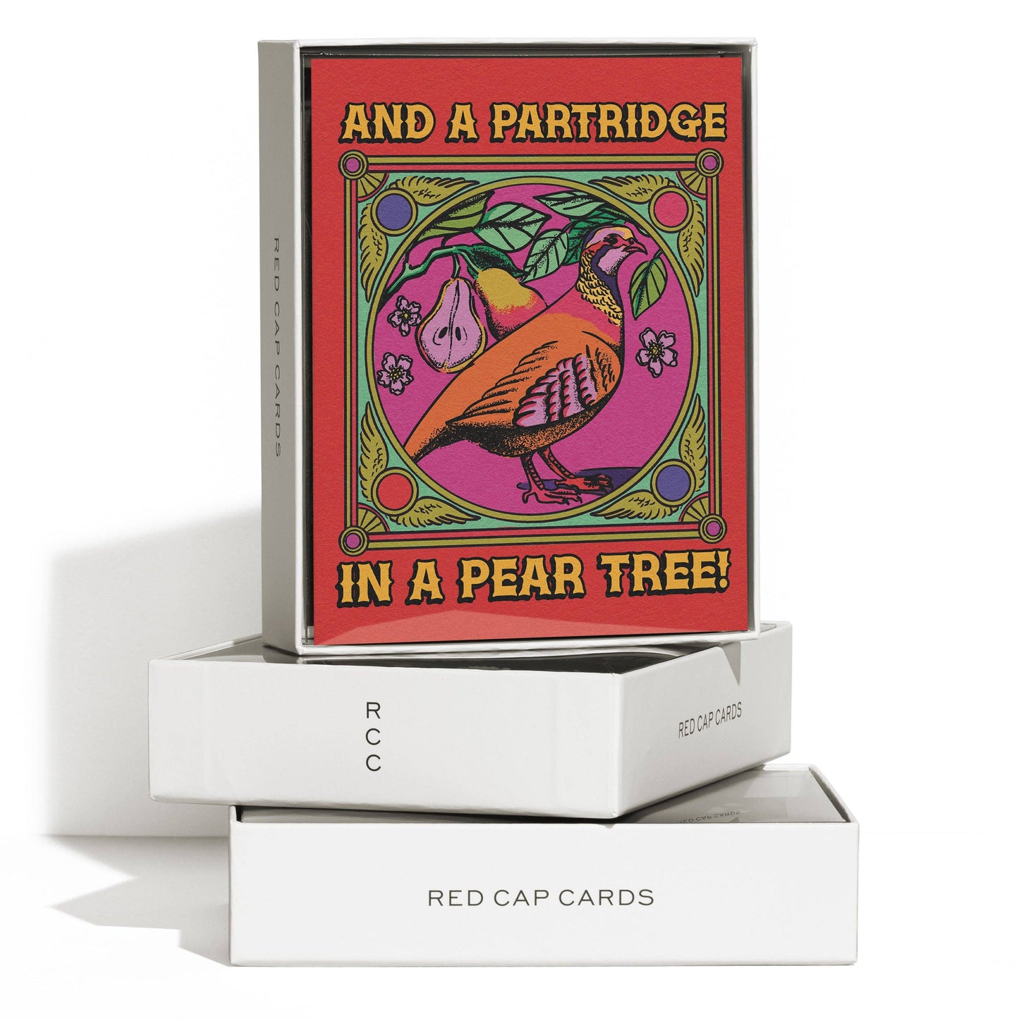 12 Days of Christmas Holiday Card