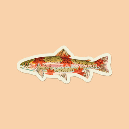Rainbow Trout Sticker