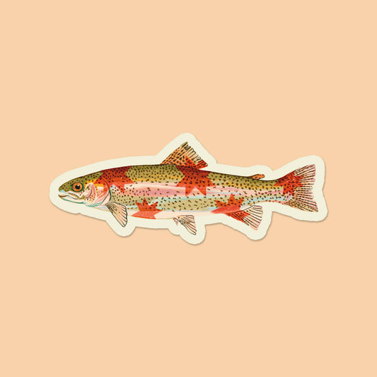Rainbow Trout Sticker
