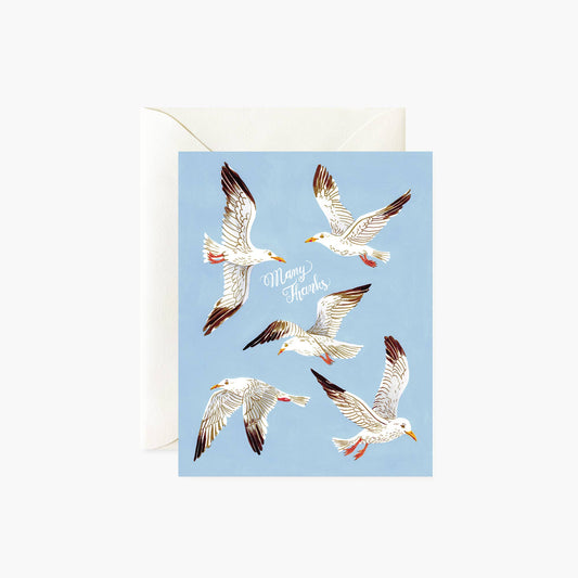 Seagulls Many Thanks Card