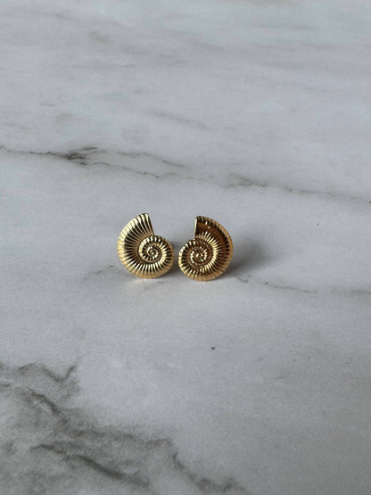Athena Shell Stud Earrings | Large