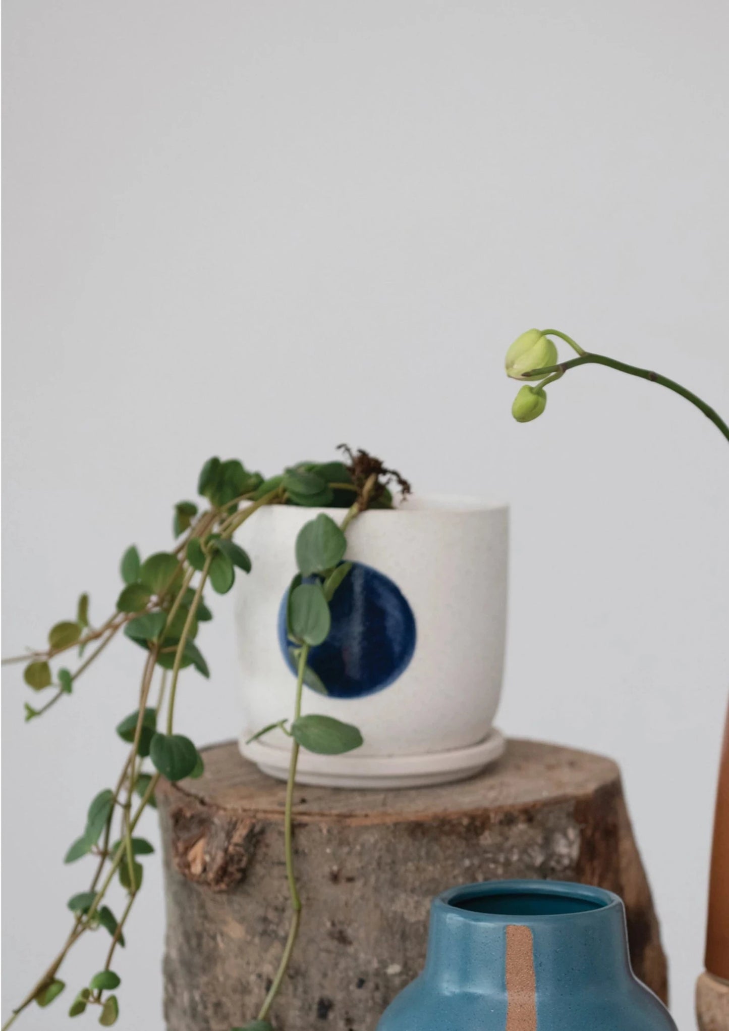 Stoneware Planter with Saucer