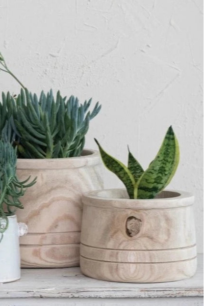 Paulownia Wood Planters