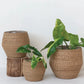 Tulum Round Woven Seagrass Baskets