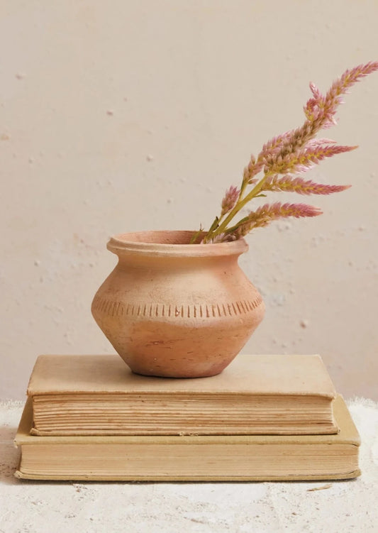 The Cutest Terracotta Planter