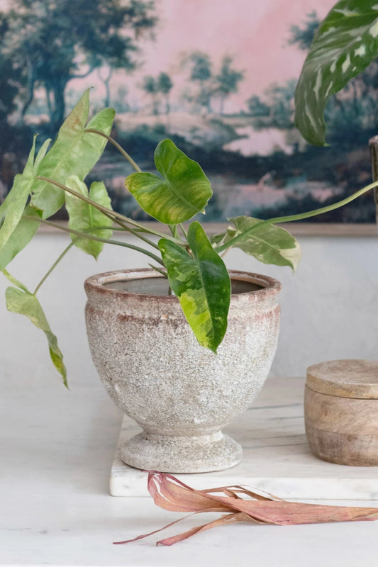Secret Garden Footed Planter