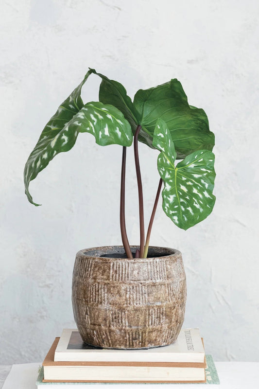 Embossed Checkered Terracotta Planter