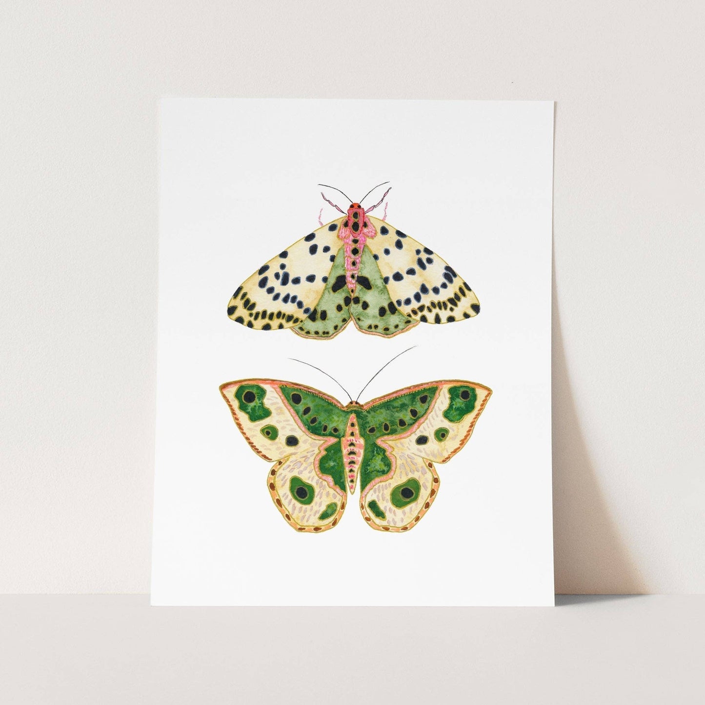 Moths No. 2 Print | 8 x 10