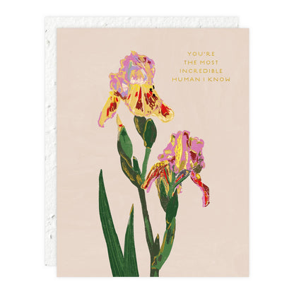 Whimsy Bloom Card