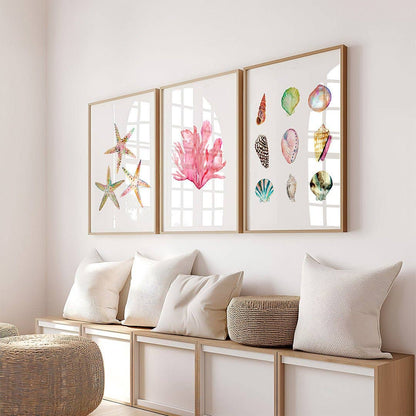 Shell Collection Print | 8 x 10