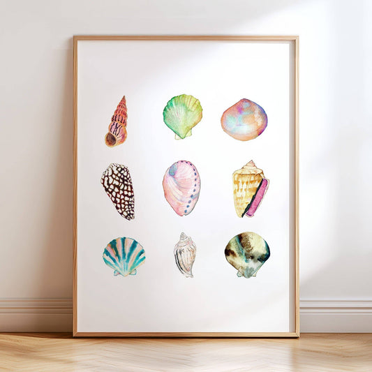 Shell Collection Print | 8 x 10