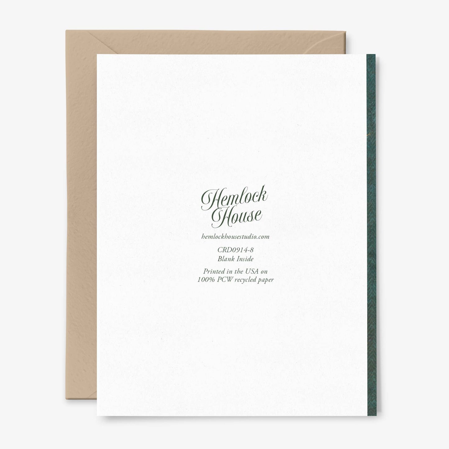 A Single Rose Card