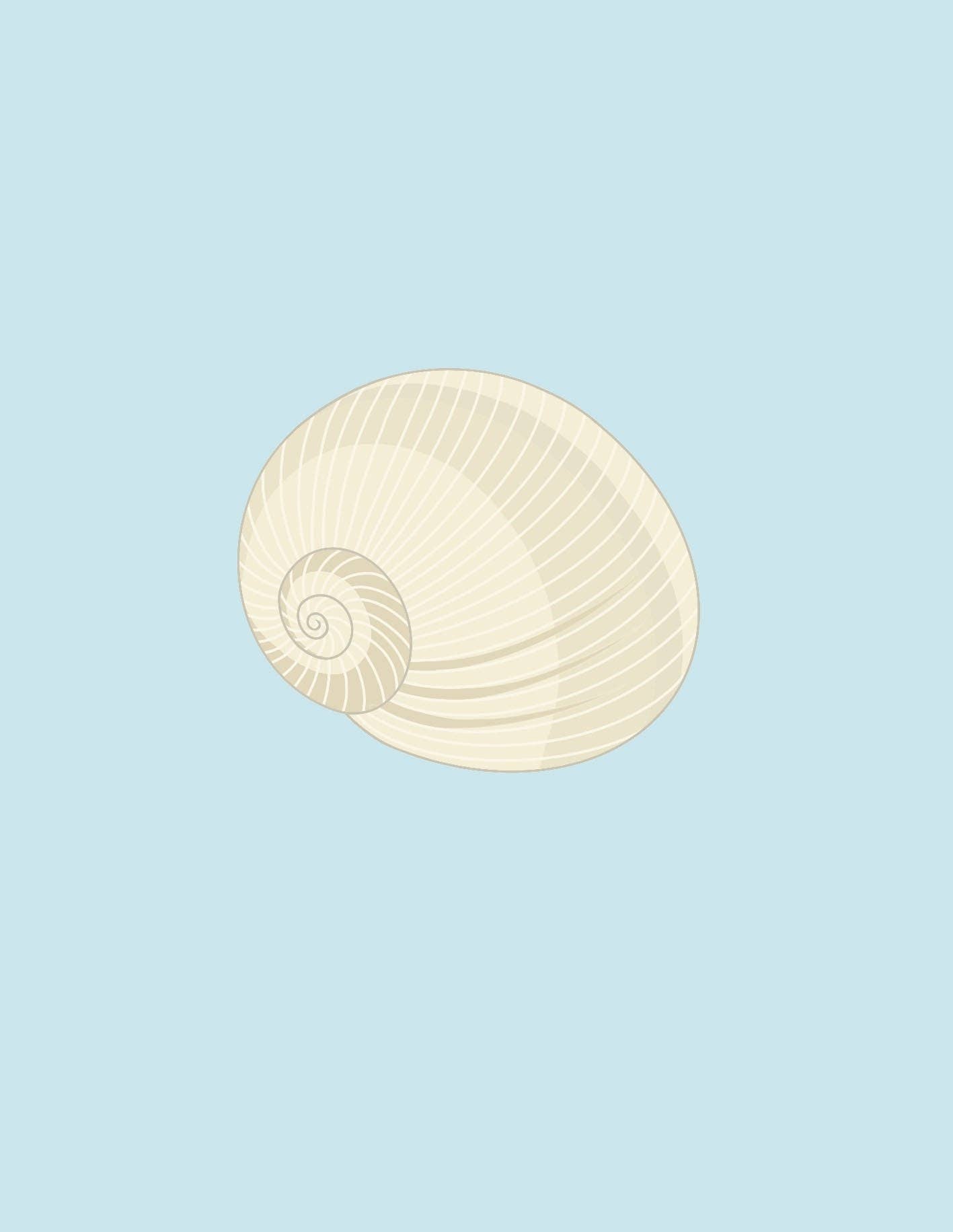 Shells: A Guide for the Curious