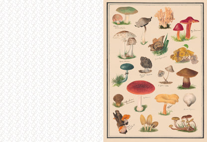 The Collage Compendium: 2,000 Images to Cut Out & Collage