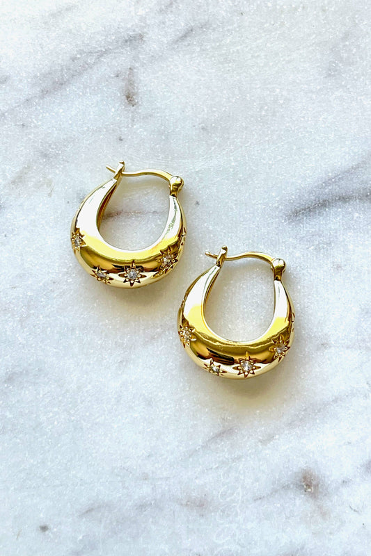 Aviva Earrings