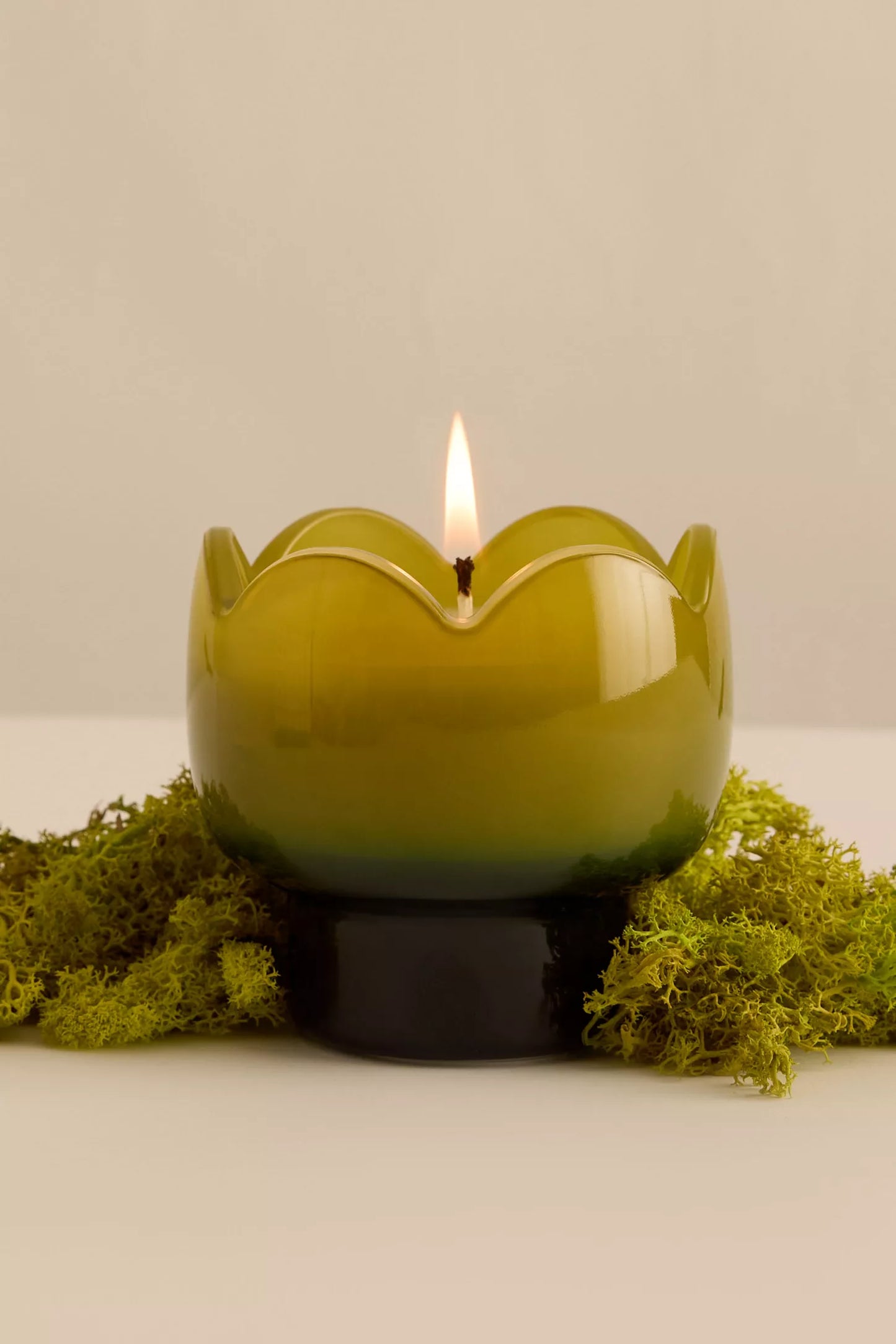 Tulip Glass Candle | Verbena & Lemongrass